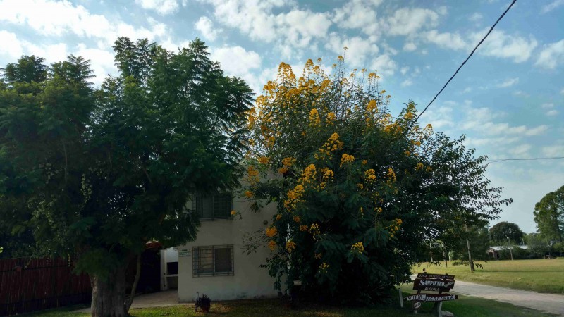 El Jacarandá dúplex, Villa Urquiza
