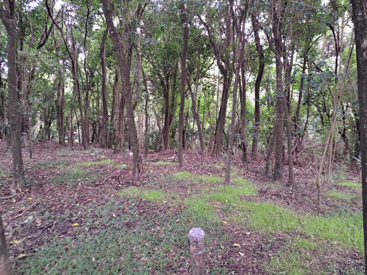 Amplio terreno con pileta en Villa Urquiza, Entre Rios