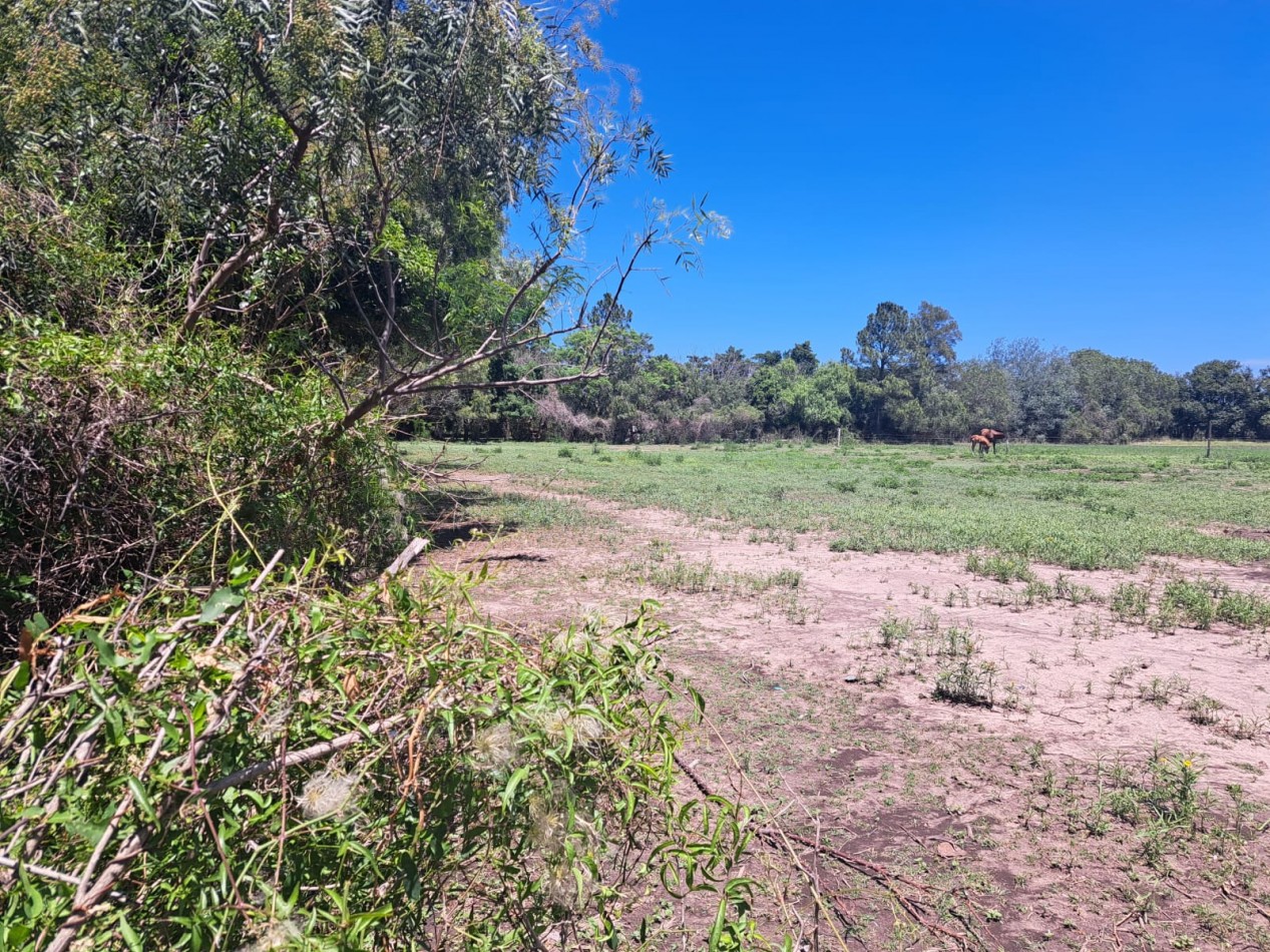 Amplisimo terreno en Villa Urquiza 9644m2 o fraccion. Ideal emprendimiento turistico o fines de semana