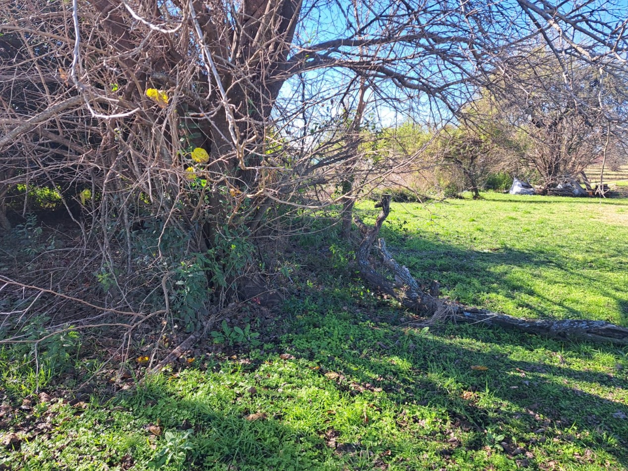 Terreno en Colonia Nueva, Villa Urquiza