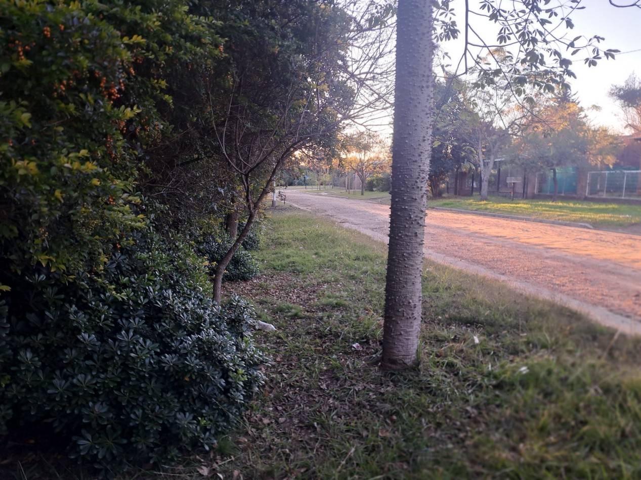 Casa quinta en Villa Urquiza, en avenida, cerca del rio con pileta